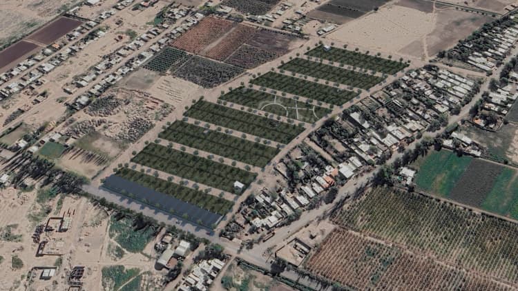 Patricias Mendocinas 3